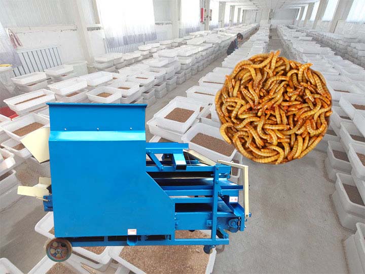 Mealworm Separating Machine Manufacturer