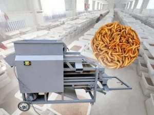 mealworm separator machine for sale