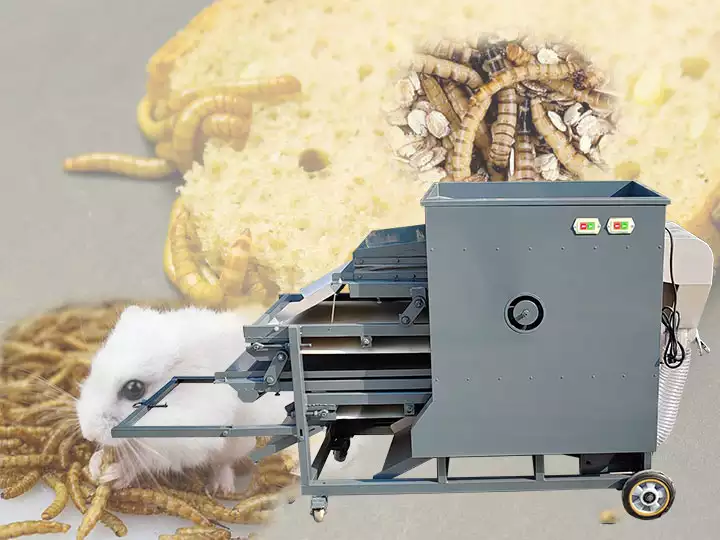 mealworm sifting machine
