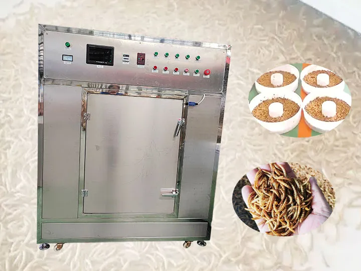 mealworm drying machine
