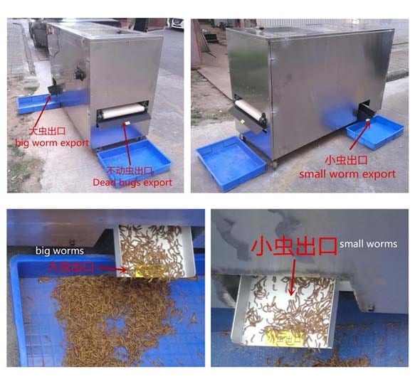 working effect of the stainless steel mealworm sifter