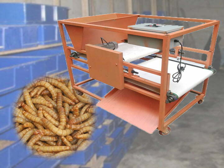 live & dead mealworm sorting machine