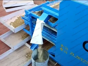yellow mealworms sifting
