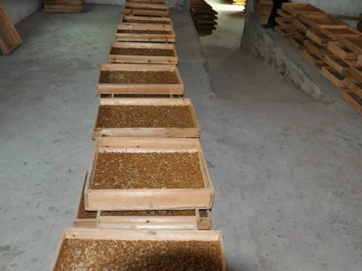 حدود 7 Mealworm Farming Business