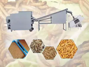 machine de tri et de couleur des vers de farine