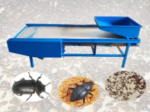 black beetle sorting machine