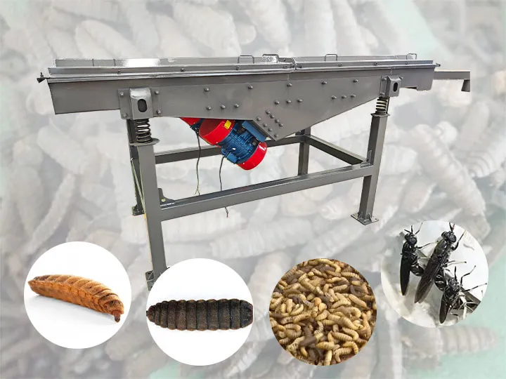 black soldier fly separator