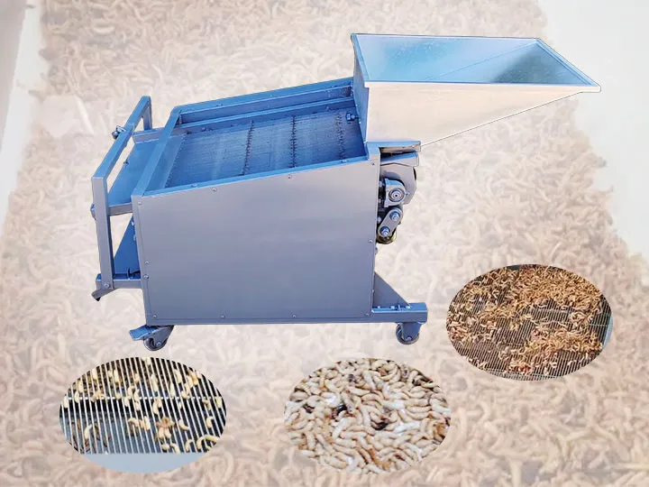 machine de tri des pupes