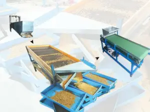 machine de tri d'insectes vers de farine