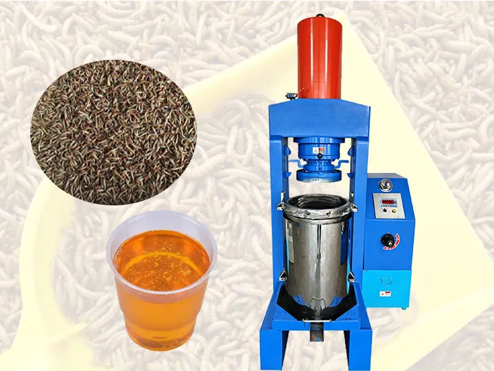 mealworm oil extraction machine