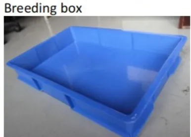 Breeding Box