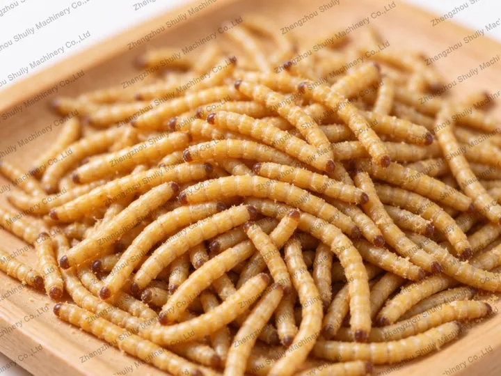 Yellow Mealworms